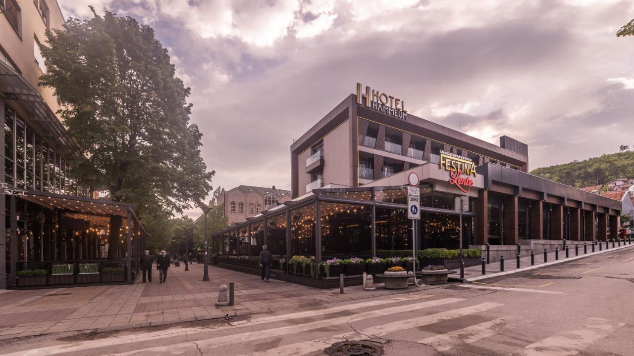 Hammeum Hotel Prokuplje Kültér fotó